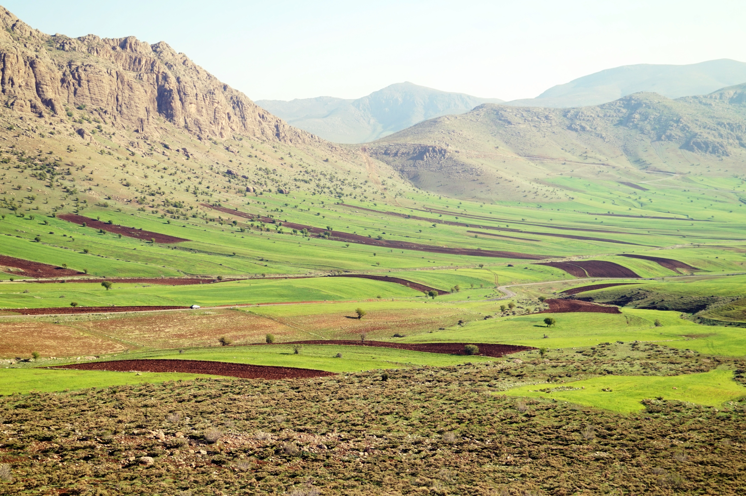 ちきゅうの暮らしかた | イランは砂漠だけじゃない！イラン1緑を満喫